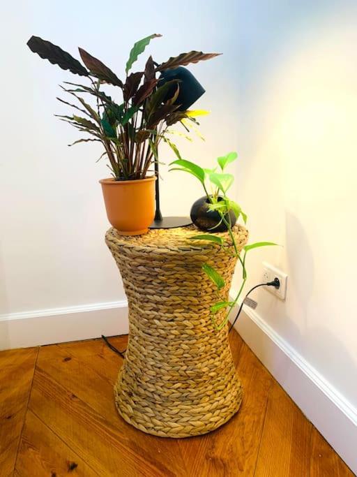 2 Bedrooms - Paris Centre - Champs Elysees Εξωτερικό φωτογραφία